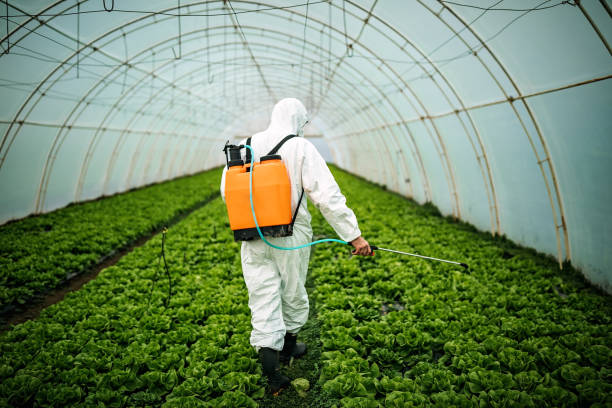 Best Affordable Pest Control Services  in Melody Hill, IN