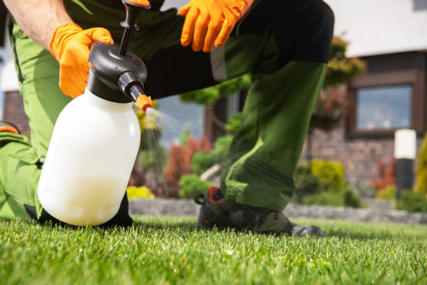 Best Pest Removal Services  in Melody Hill, IN