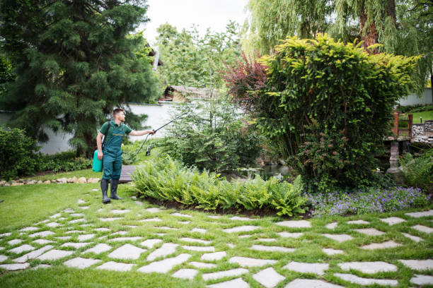 Best Affordable Pest Control Services  in Melody Hill, IN
