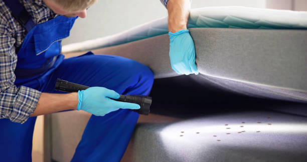 Pest Control Cost in Melody Hill, IN