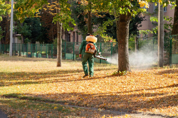 Best Wasp Removal Services  in Melody Hill, IN